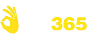 vnok365pp.com Logo